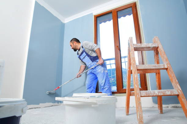 Best Comprehensive Air Testing for Mold Contaminants  in Steamboat Springs, CO