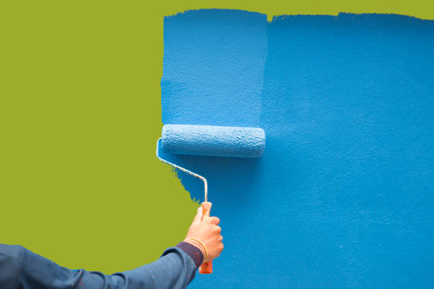 Best Mold Remediation for Healthcare Facilities  in Steamboat Springs, CO